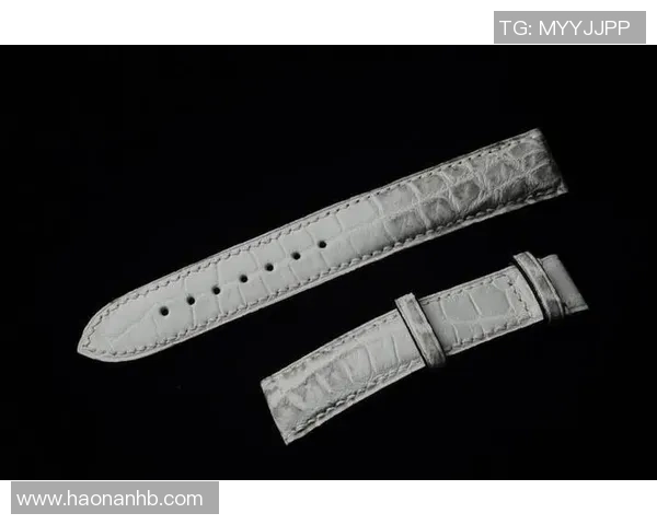 从零起步掌握篮球力量训练的全面指南与实用技巧 从零起步掌握篮球力量训练的全面指南与实用技巧