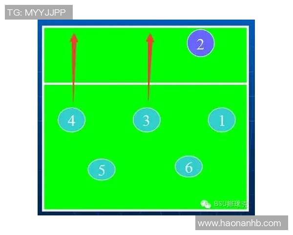 排球盛宴：深入分析成都排球队的战术布局与训练秘诀