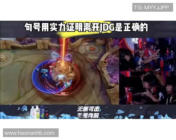 王者荣耀背后的故事：深入探讨JDG战队的拼搏与荣耀之路