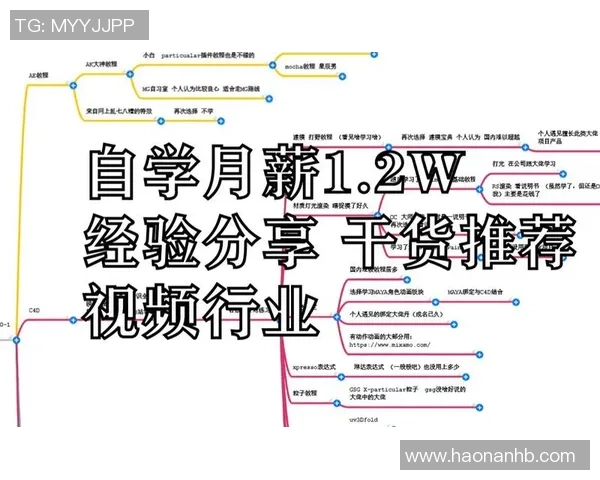 选择最佳网站购买足球票的攻略与推荐分享